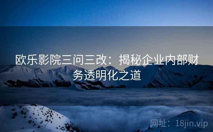 欧乐影院三问三改:揭秘企业内部财务透明化之道 欧乐影院三问三改:揭秘企业内部财务透明化之道