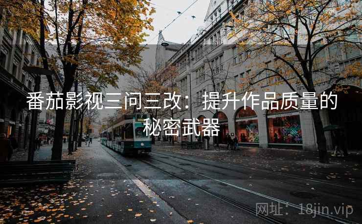 番茄影视三问三改：提升作品质量的秘密武器